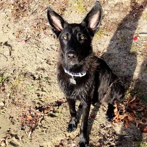 Meet your Posher, Jen